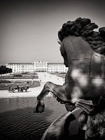 Vienna - Schönbrunn Palace