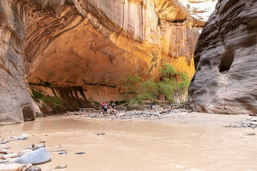 Zion National Park by Ton Tolboom
