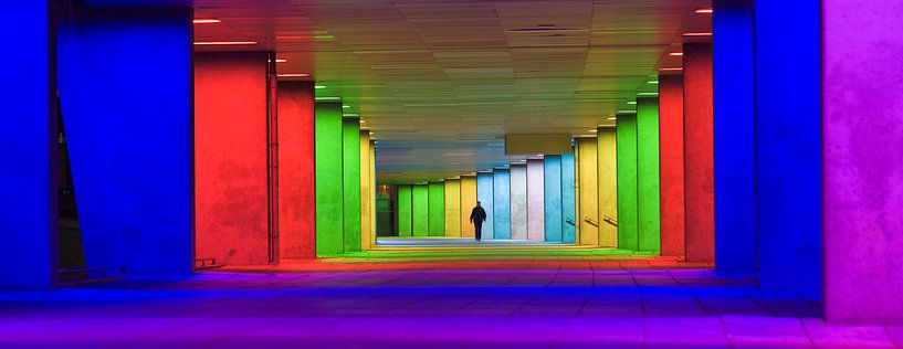 Das neue Institut, Rotterdam von David Bleeker