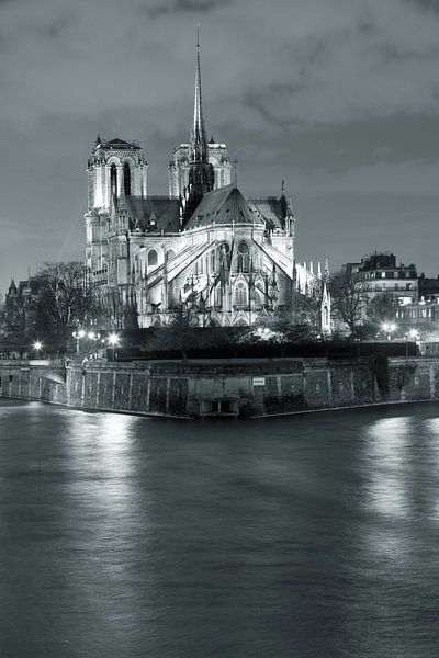 Kathedrale Notre Dame bei Nacht, Paris von Markus Lange