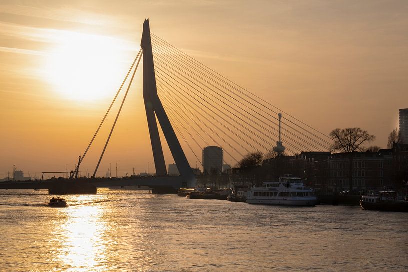 Erasmus Brücke Rotterdam Sonnenuntergang von Tom Hengst