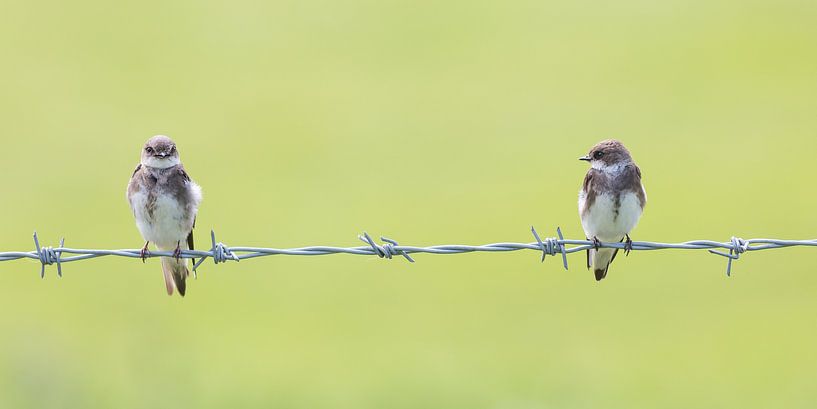 Relax! by Kris Hermans