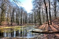 Le Solse Gat - Soleil et couleurs d'hiver