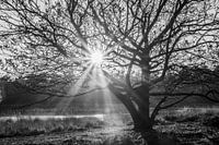 Hoffnung bringt Leben