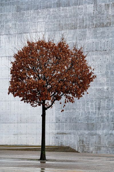 Urban greening in winter by Karsten Rahn