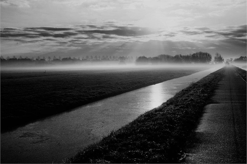 Nieuw licht by ZEVNOV .