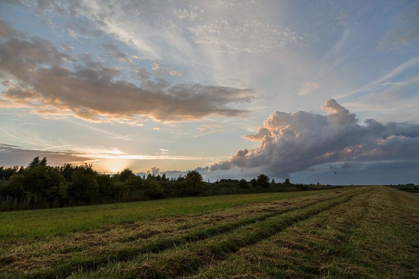 Abendstimmung am Deich par Rolf Pötsch
