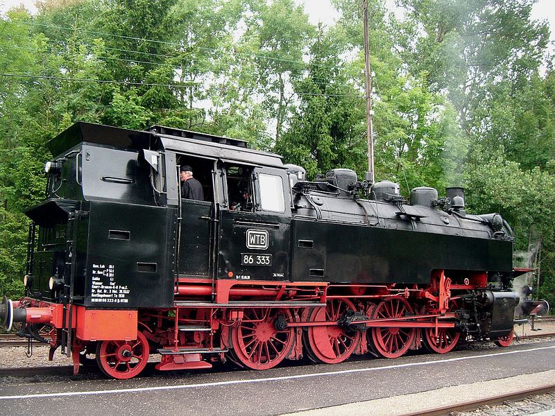 Choo Choo by Desiree Barents