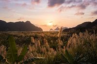 Coucher de soleil violet sur l'île de Cát Bà - Baie d'Ha Long, Vietnam
