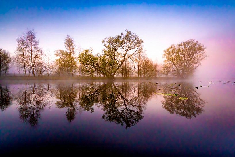 Lever de soleil dans le ruisseau par Sam Mannaerts