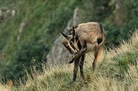 Mysteriöse Edelsteine