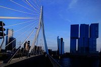 Rotterdam bridge