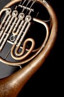 French Horn