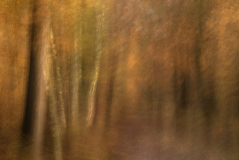 Herbststimmung von Lia Hulsbeek Brinkman