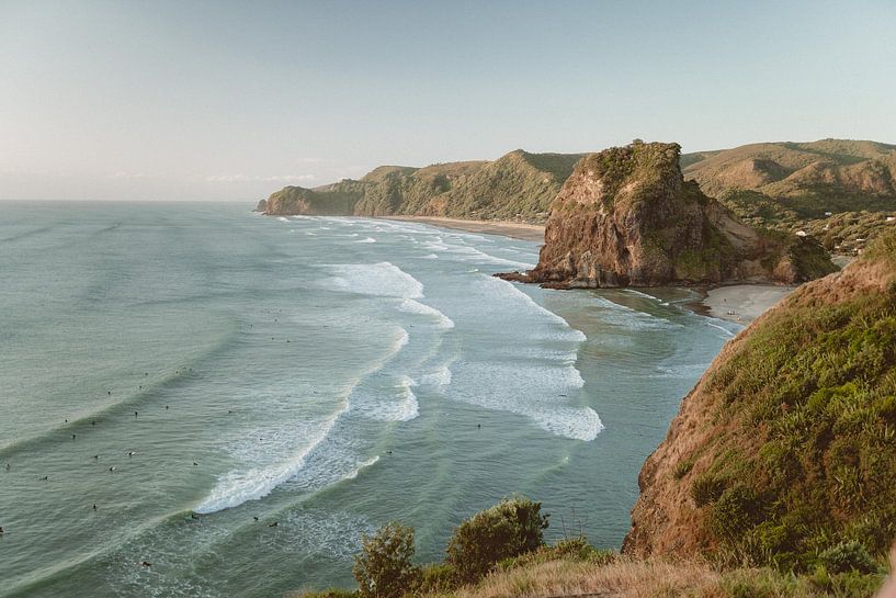 Lion Rock, Piha, Neuseeland von Shauni van Apeldoorn