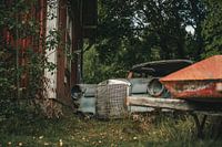 The abandoned car graveyard in Sweden (part 2)