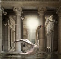 Swan Lake