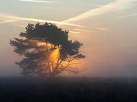 Lever de soleil froid