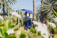 Majorell Garten Marrakech