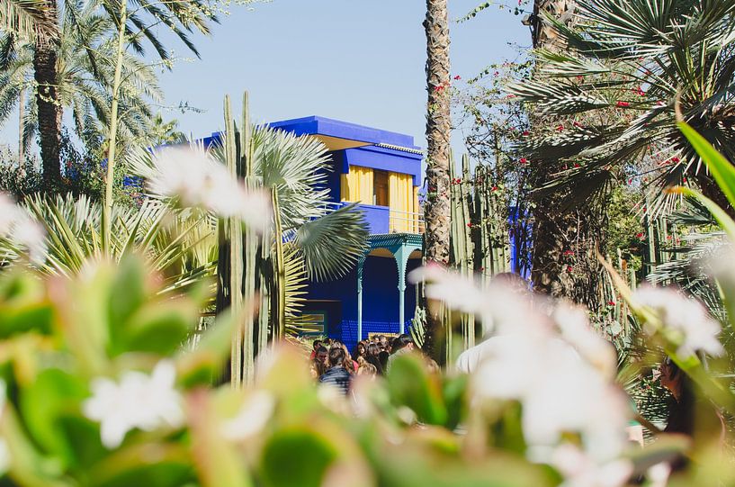 Majorell Garden Marrakech by Vera van den Bemt