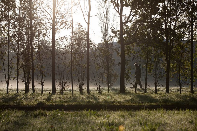 Spray von Martijn Grimme