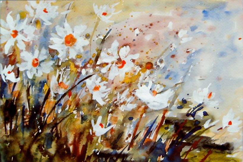 Marguerites meadow by Christine Nöhmeier