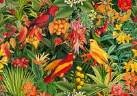 In een tropisch paradijs