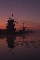 Farbspektakel in Kinderdijk
