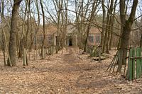 Kinderopvang in bossen