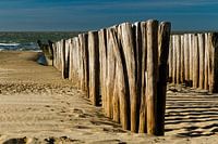 Golfbrekers in het zand