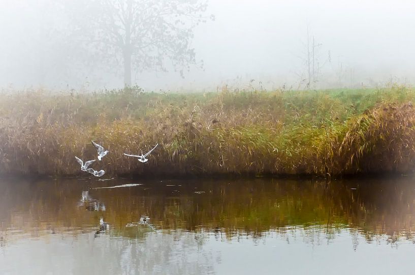 Mystery morning by Hans van Gurp