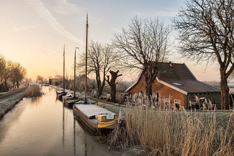 Un beau matin d'hiver dans le Maasland par Charlene van Koesveld