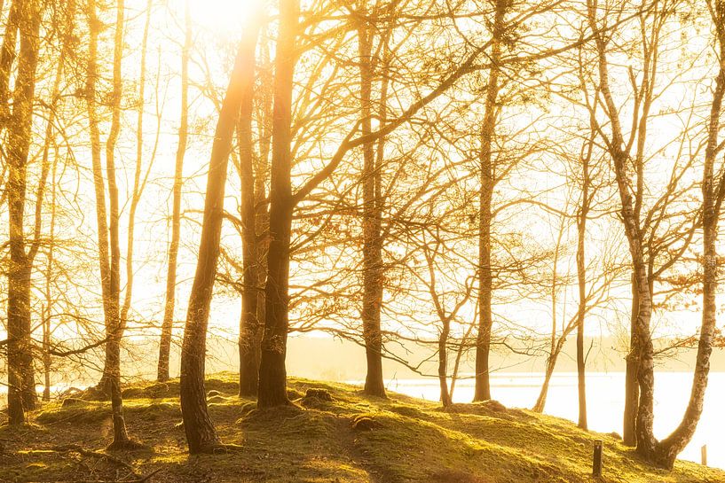 Lever de soleil Dwingelderveld Drenthe (Pays-Bas) par Marcel Kerdijk