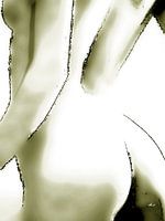 Frauenakt   |   Schöner Rücken