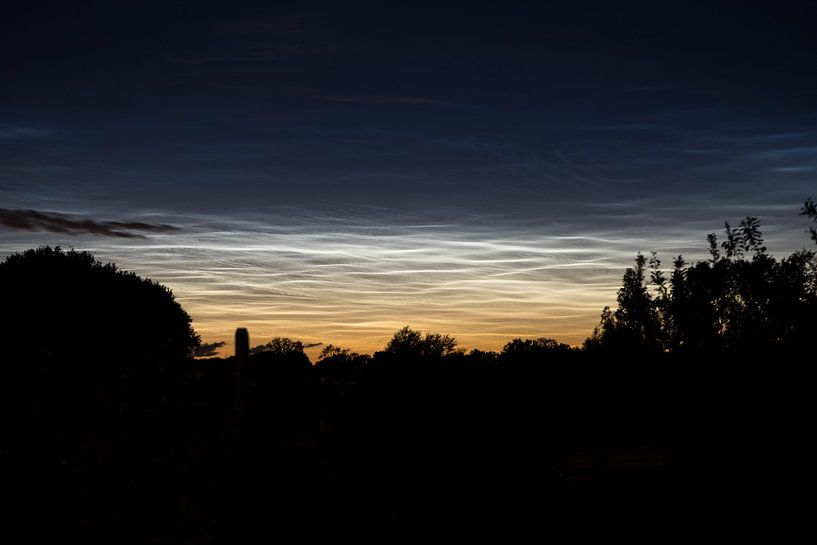 La nature comme art par Charlotte Serrarens