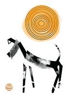 Hund mit Ball in der Sonne