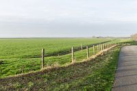 Innendeichs - Außendeichs Foto 18