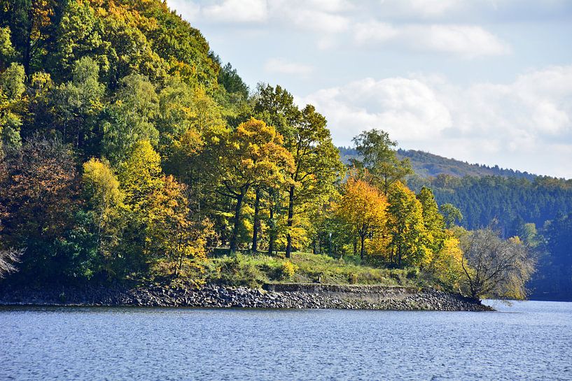 Herbstbäume par Edgar Schermaul