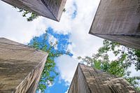 In The Garden Of Exile