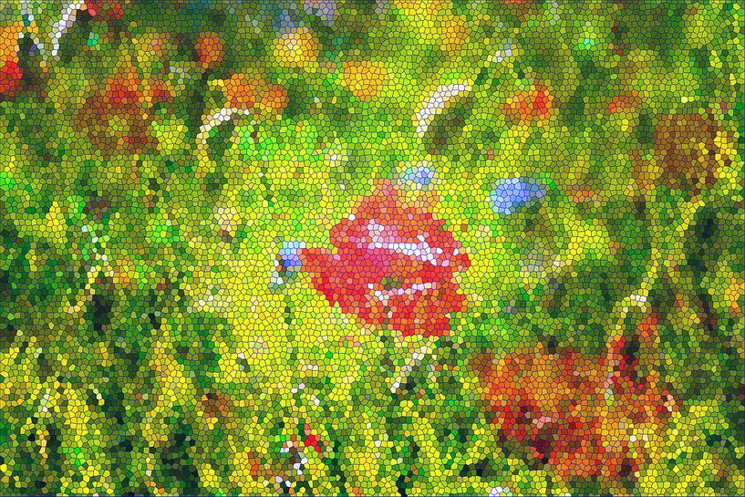 Une prairie d'été pittoresque par Thomas Jäger