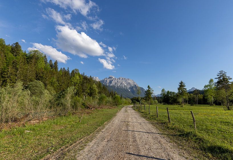 Spaziergang in Bayern von Teresa Bauer
