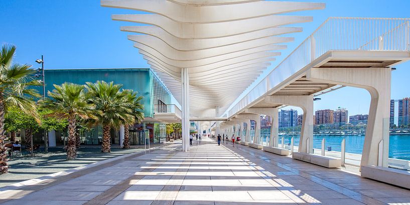 Malaga port - Palmeral de las Sorpresas by Gerard van de Werken