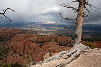 Bryce Canyon