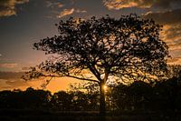 Sonnenuntergang Baloere-Feld