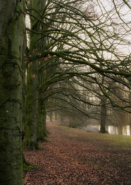 Hemmensebos Teil 14 von Tania Perneel