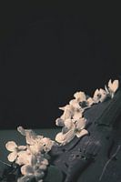 Die Band, Violine schwarz / weiß