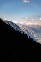 Mystical forest in Switzerland's Alps