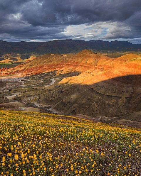 Sunset at the Painted Hills by Henk Meijer Photography
