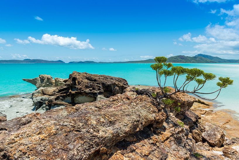 Plage de Whitehaven dans les Whitsundays en Australie par Troy Wegman