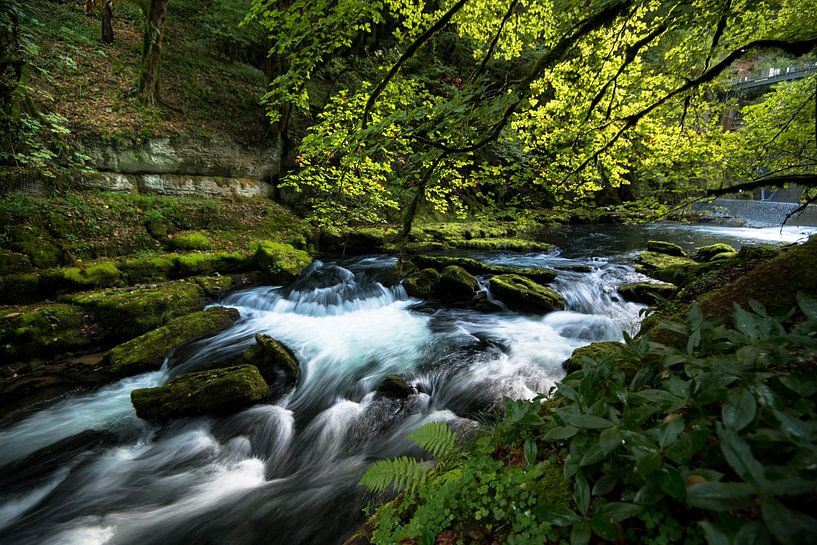 The Loue in the Doubs in France by Tanja Voigt
